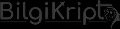 Bilgikripto logo