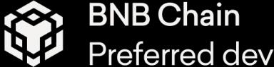 Bnb chain preffered dev